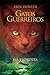 Gatos Guerreiros Na Floresta (Portuguese Edition)