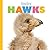 Baby Hawks (Starting Out)