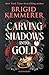 Carving Shadows into Gold (Forging Silver into Stars)