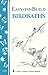 Easy-to-Build Birdbaths: St...