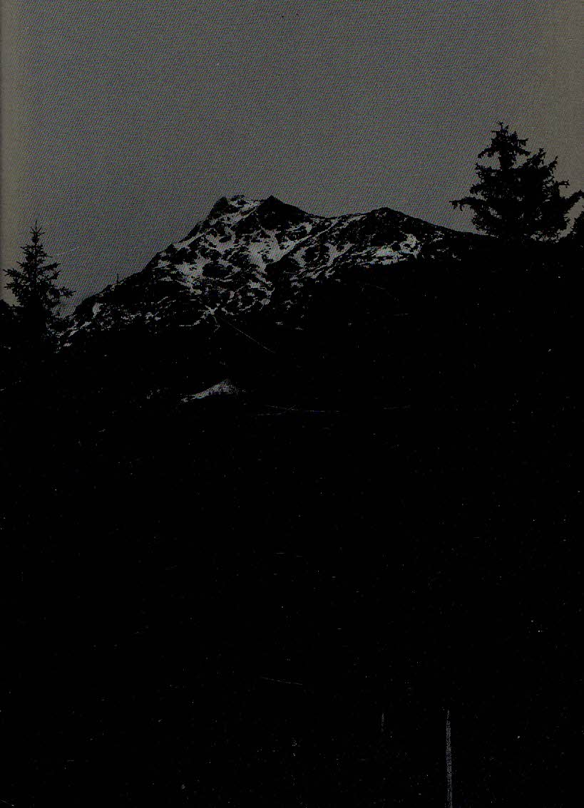 The Living Mountain (Softcover)