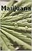 Marijuana: A Brief History of the Myth, Prohibition and Legalization of Cannabis