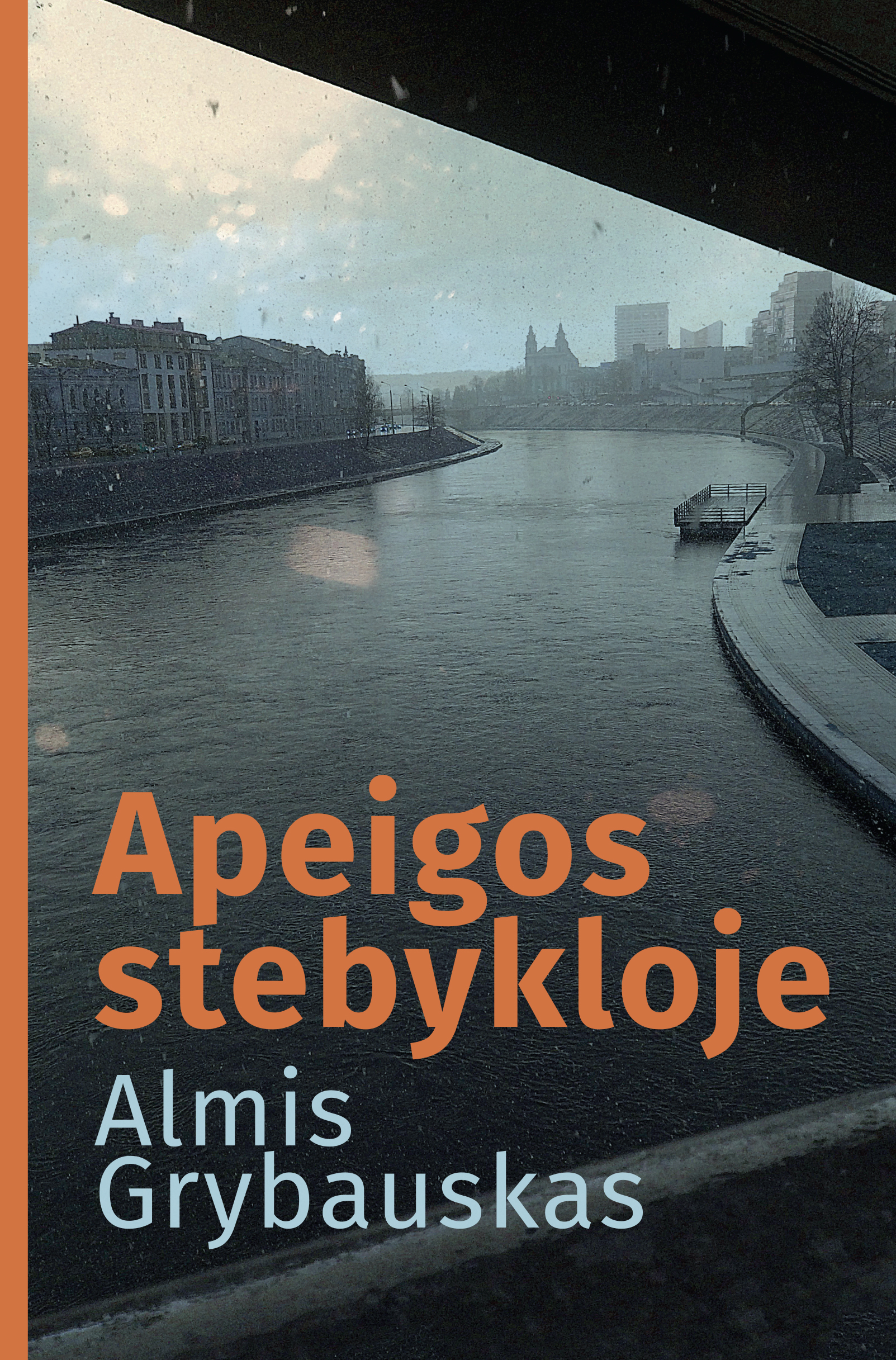 Apeigos stebykloje (Hardcover)