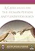 A Catechesis on the Human P...
