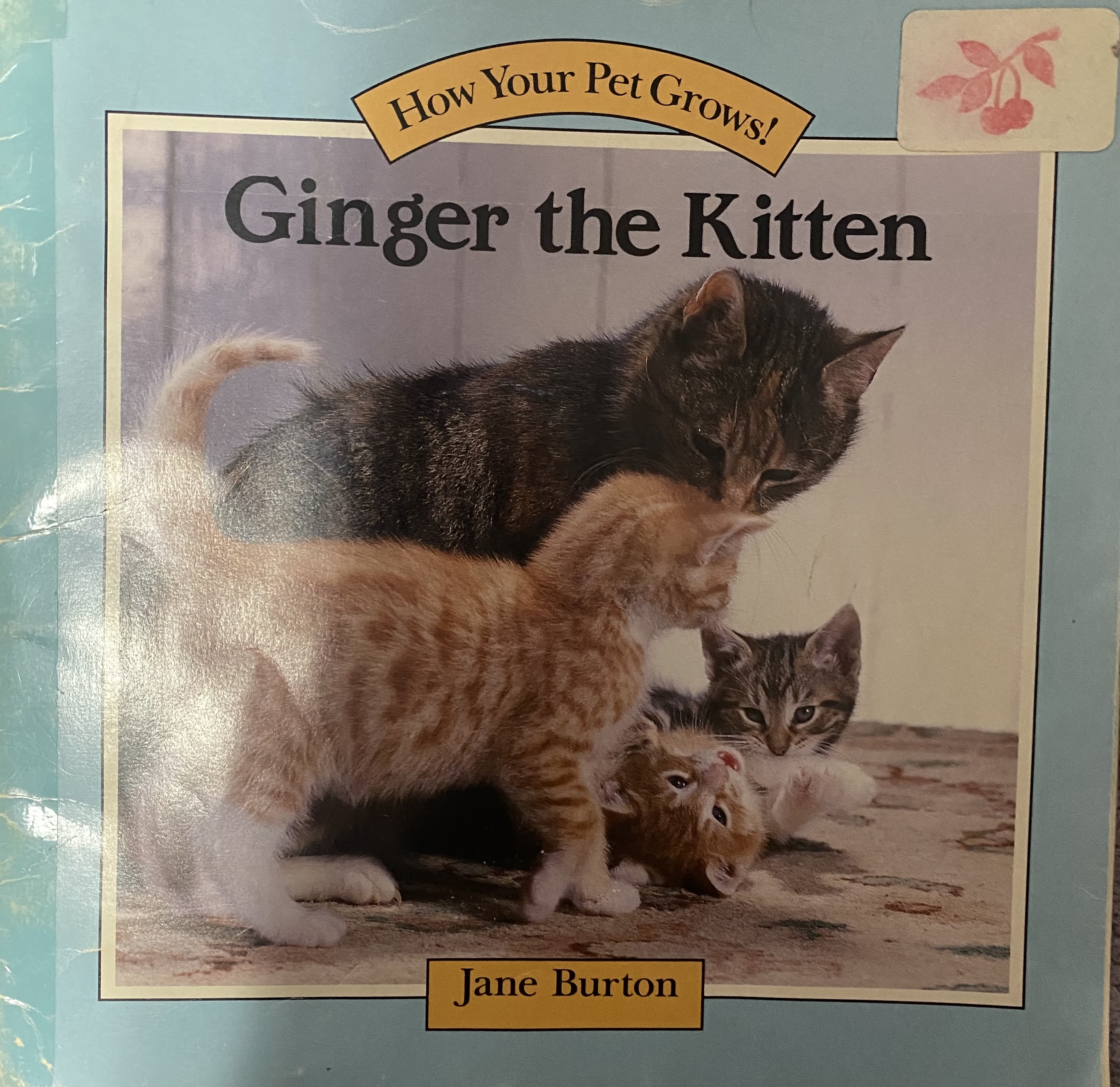 GINGER THE KITTEN (How Your Pet Grows!)