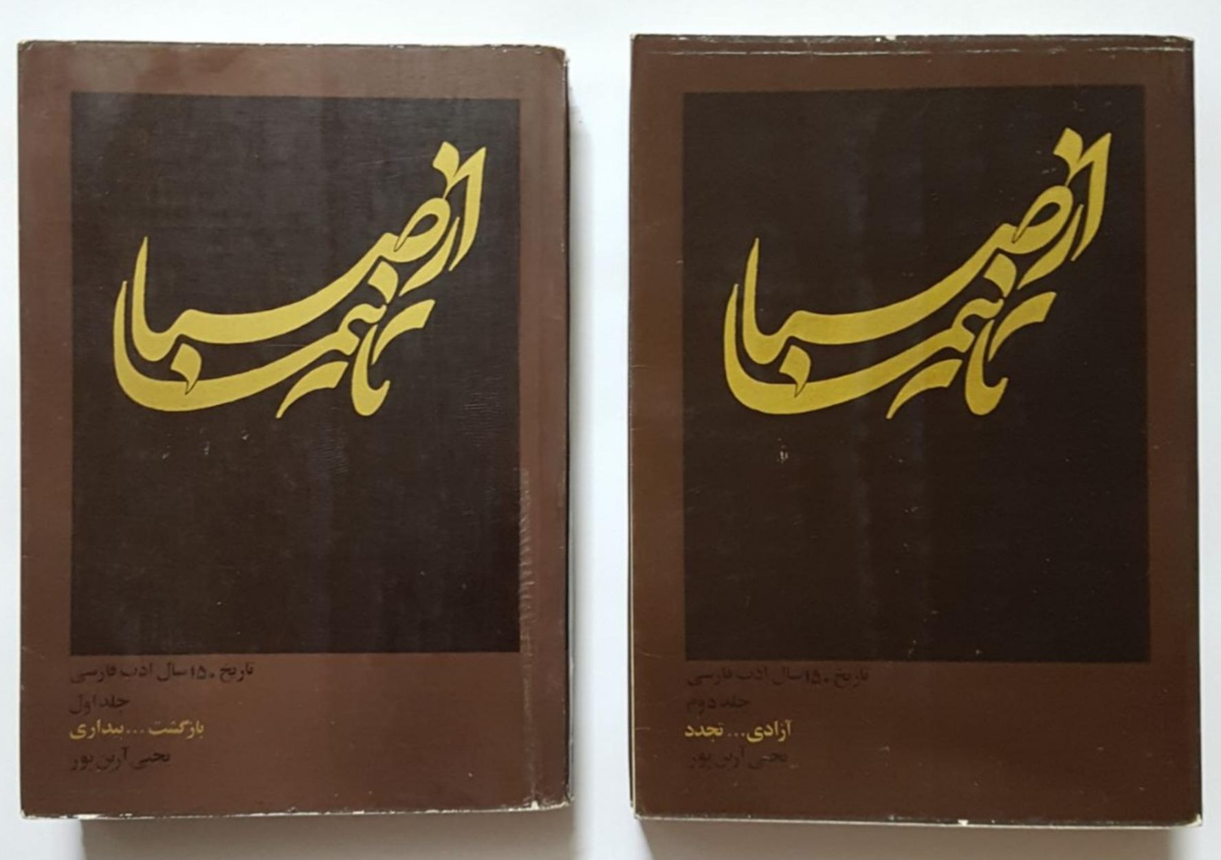 از صبا تا نیما: تاریخ ۱۵۰ سال ادب فارسی: دوره ۲ جلدی