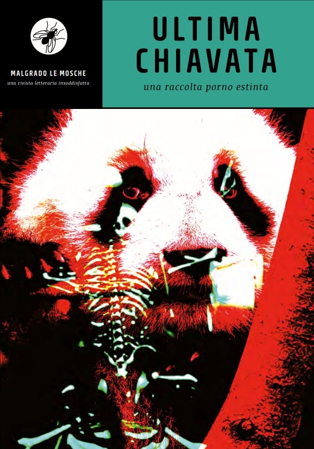 Ultima chiavata (Paperback)