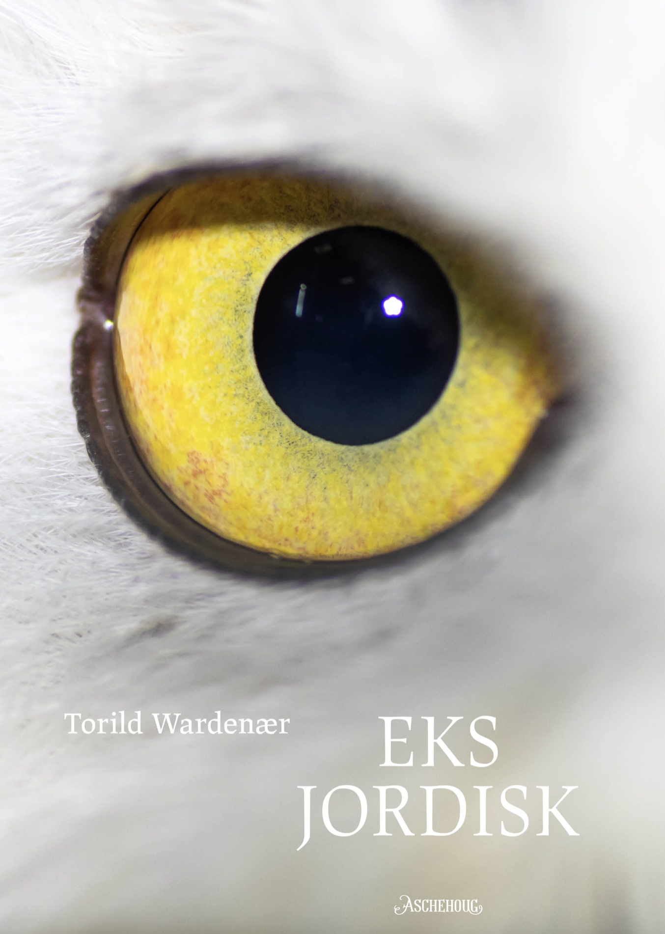 Eks Jordisk (ebook)