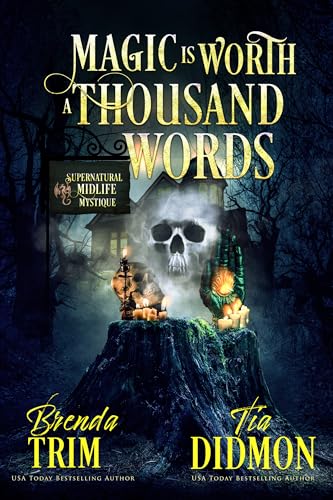 Magic is Worth a Thousand Words (Shrouded Nation #28)