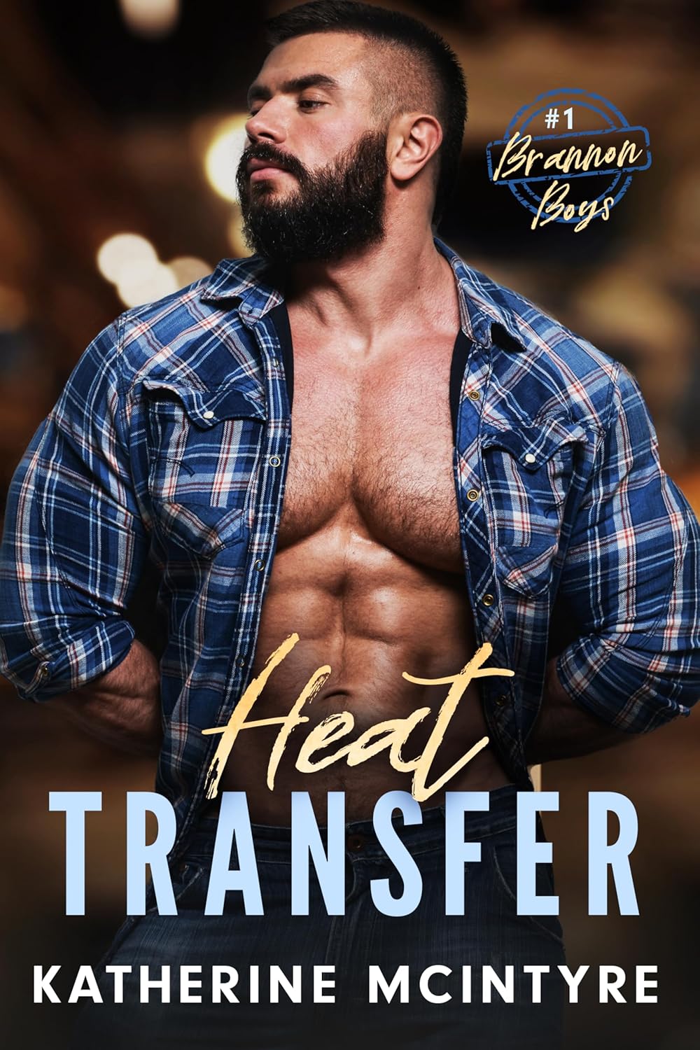 Heat Transfer (Brannon Boys, #1)