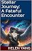 Stellar Journey: A Fateful ...