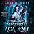 Midnight Fae Academy: Book Two (Midnight Fae Academy, #2)