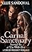 Carnal Sanctuary: Snowed In...