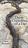 These Creatures of a Day
