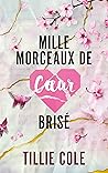 Mille morceaux de...