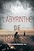 Labyrinthe de traitres (Un thriller d’espionnage de Brianna Dagger — Tome 2) (French Edition)