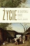 Życie w chłopskiej chacie by Kamil Janicki