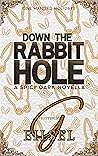 Book cover for Down The Rabbit Hole (One Handed Holidays)