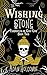 The Wishing Stone by Adam Holcombe