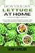 Grow Your Own Lettuce at Ho...