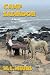 Camp Salvador by M.L. Meurs