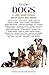 To The Dogs by Nicole McInnes