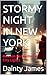 Stormy Night InN New York, New York City Love Story, Steamy Billionaire Romance, Second Chance at Love, Contemporary Romance .: Passion Beneath the City Lights
