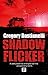 Shadow Flicker