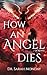 How an Angel Dies by Sarah Monday