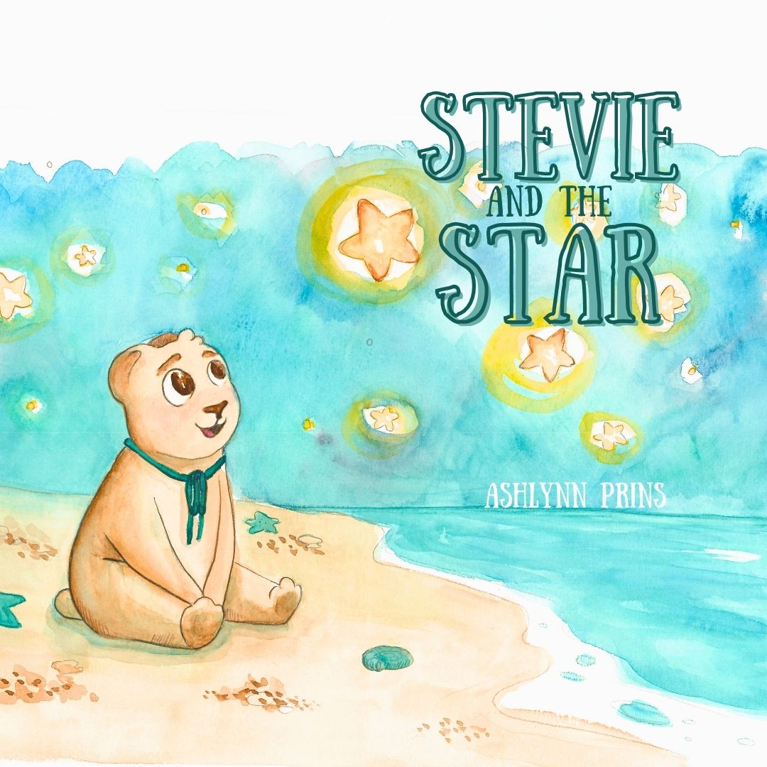 Stevie and the Star (Paperback)