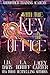 With the Key in the Office: A Cozy Fantasy (Godmother Training Academy Book 3)