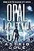 Opal City (Diamond City, #4)