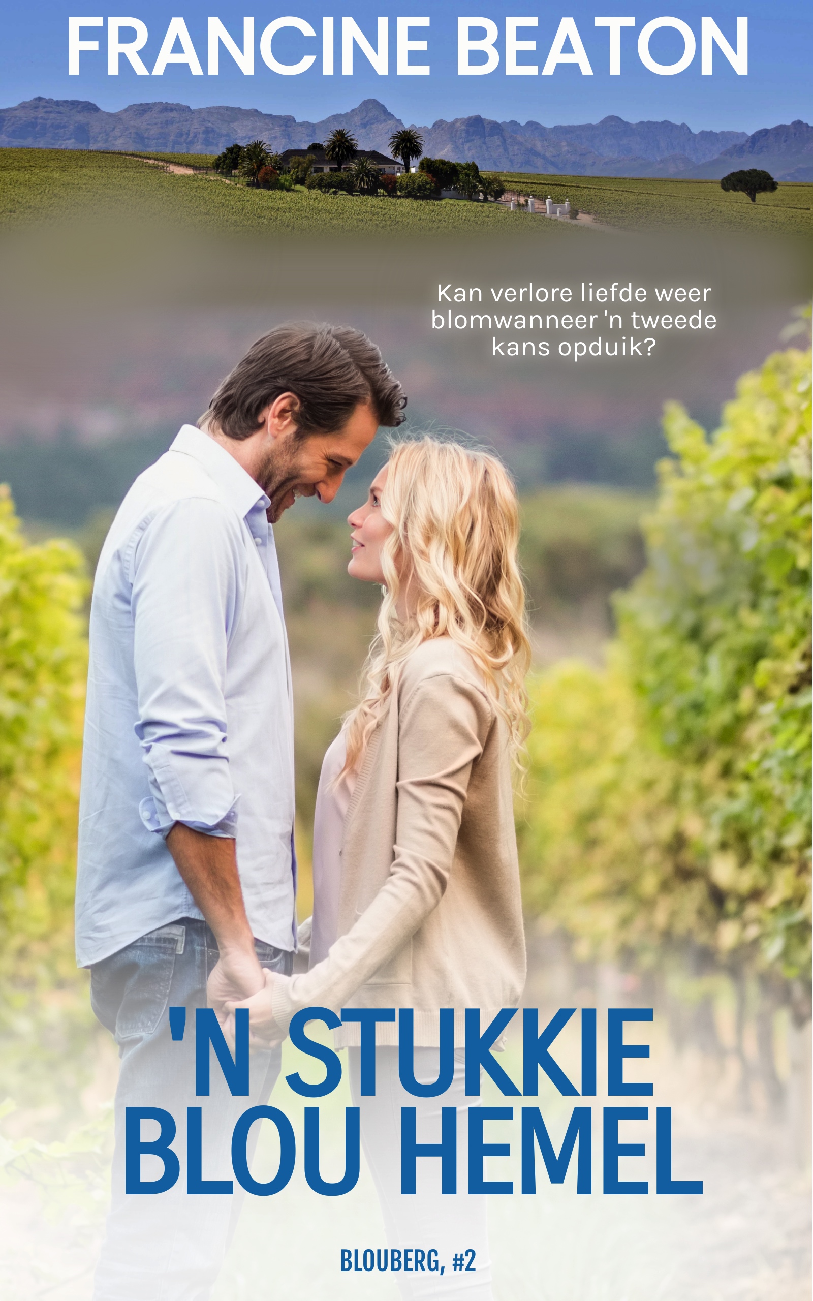 'n Stukkie Blou Hemel ('n Blouberg Novelle, #2)