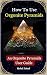 How To Use Orgonite Pyramids by Mohd Faisal