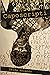 Caposcripti