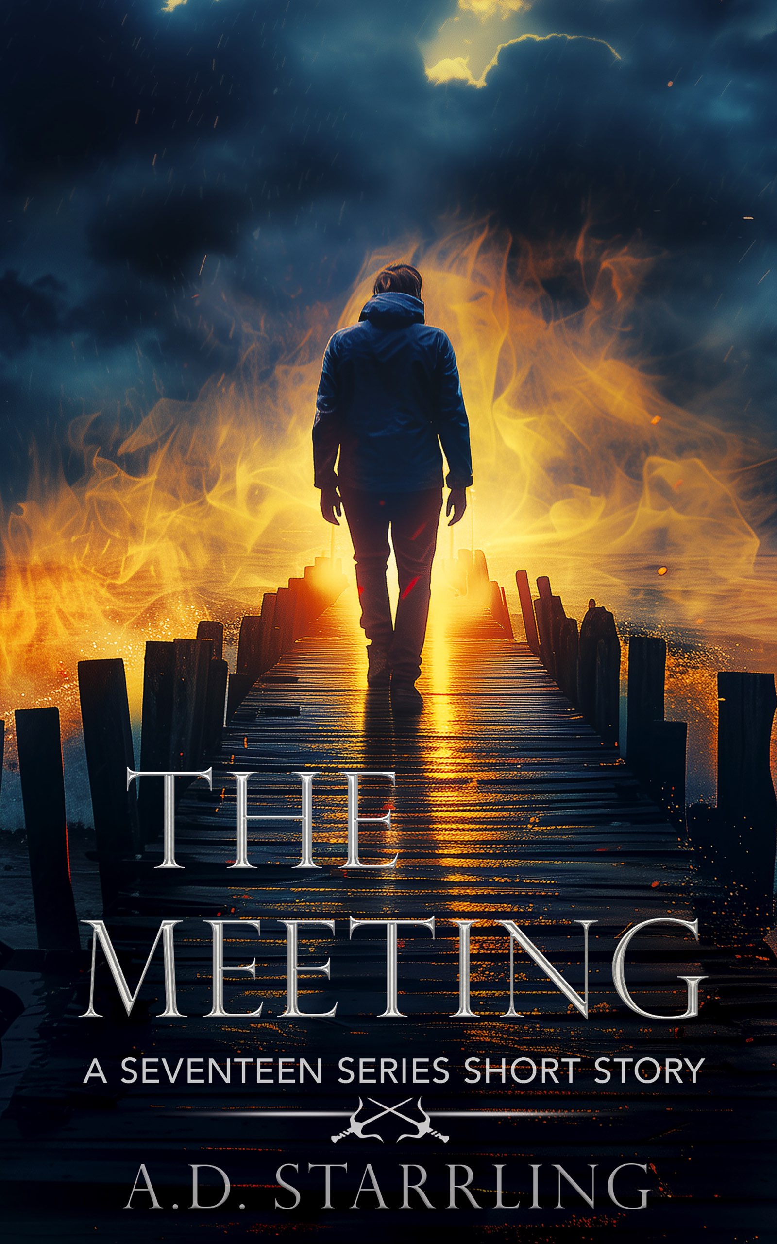 The Meeting (Seventeen, #0.3)