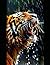 TIGER OF NERPULLA: FULL SAG...