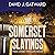The Somerset Slayings (DI H...