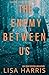 The Enemy Between Us  (Shadow Stalkers #3)