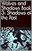 Wolves and Shadows Book 3 by B Howl