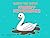 Swamp the Swan's Muddy Adventure by Rachel Buchanan
