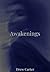 Awakenings (Hollow Brook Ch...