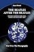 The Beatles after The Beatles. The Solo Careers of John, Paul... by Luca Perasi