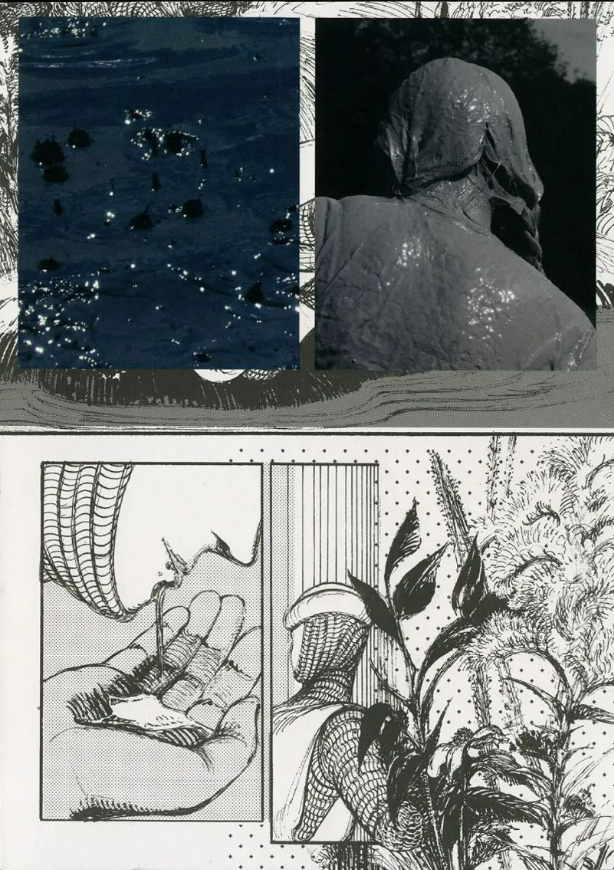 Lagon Revue No. 7: Pluie