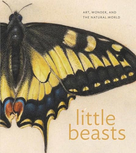 Little Beasts: Art, Wonder, and the Natural World (Hardcover)