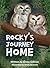 Rocky's Journey Home