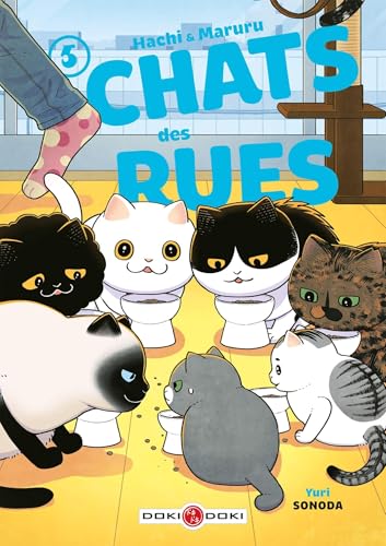 Hachi & Maruru - Chats des rues (Chats des Rues, #5)