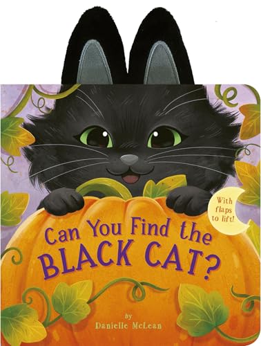 Can You Find the Black Cat?: With flaps to lift! (Board Book)