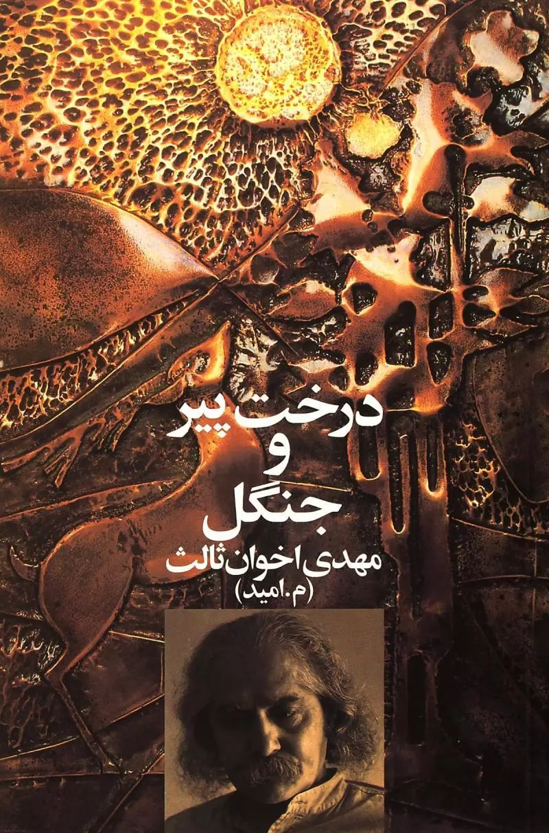 درخت پیر و جنگل (Paperback)