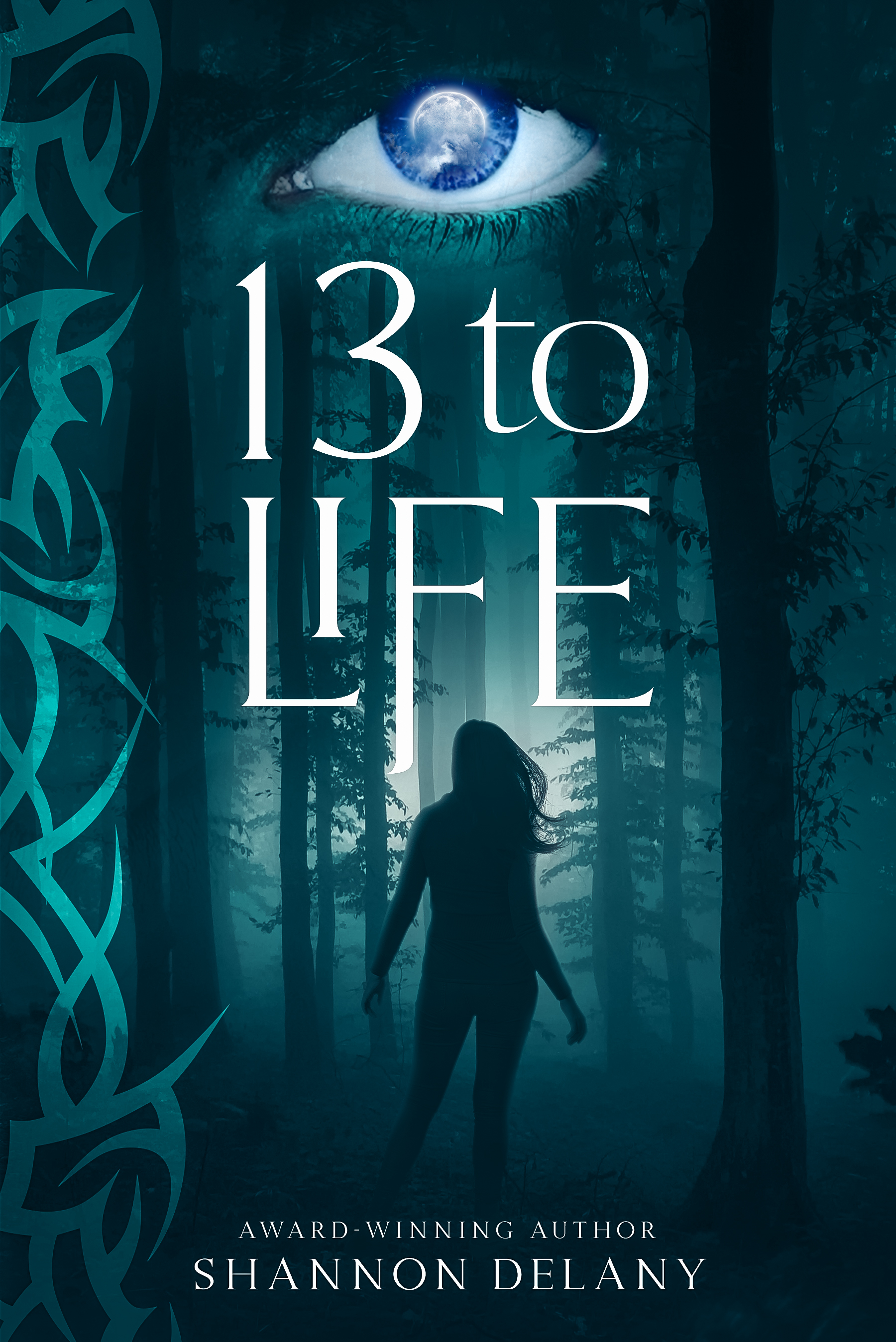 13 to Life